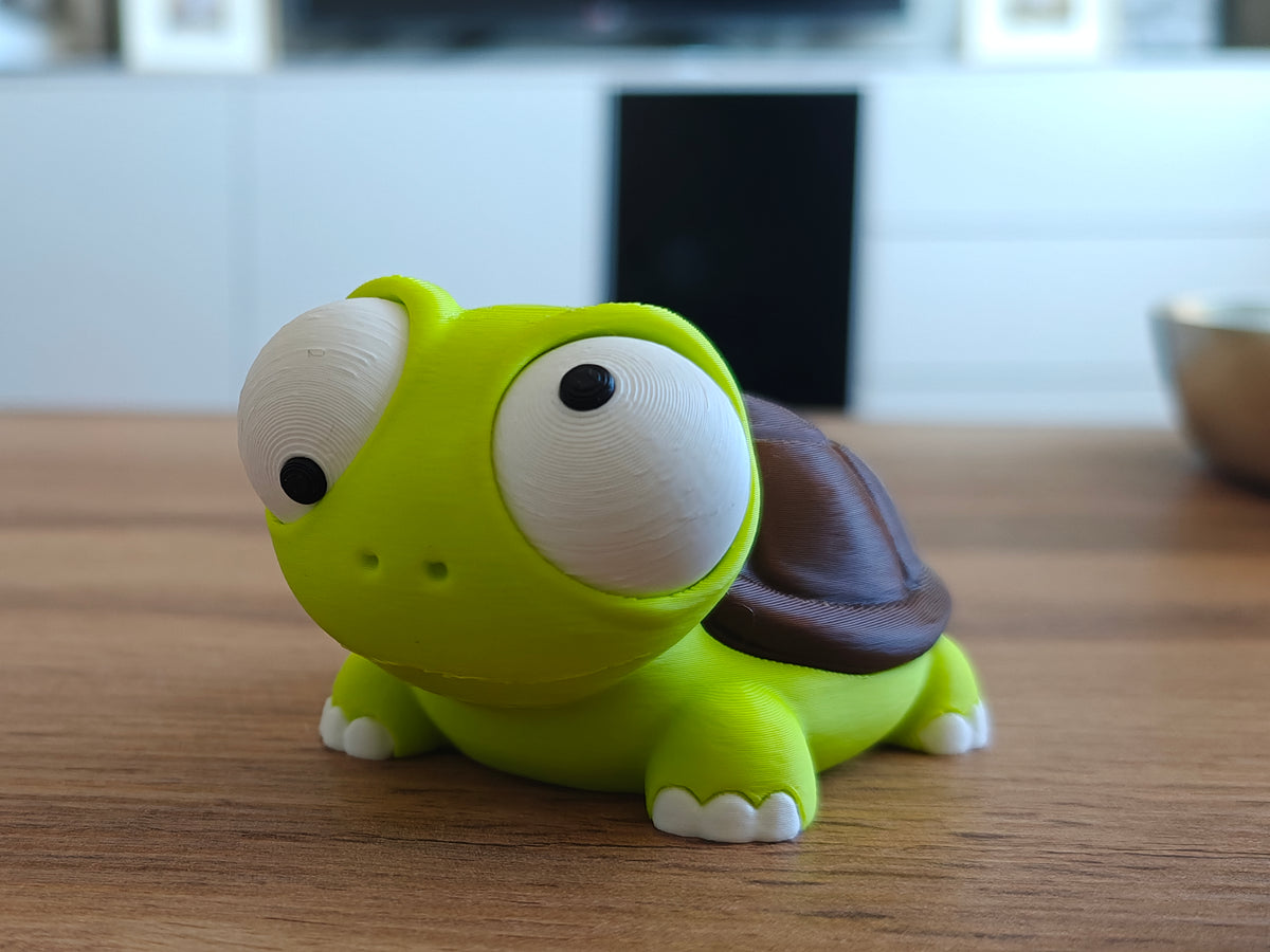 Turtle Googly Eyes SnapCharm™ Character